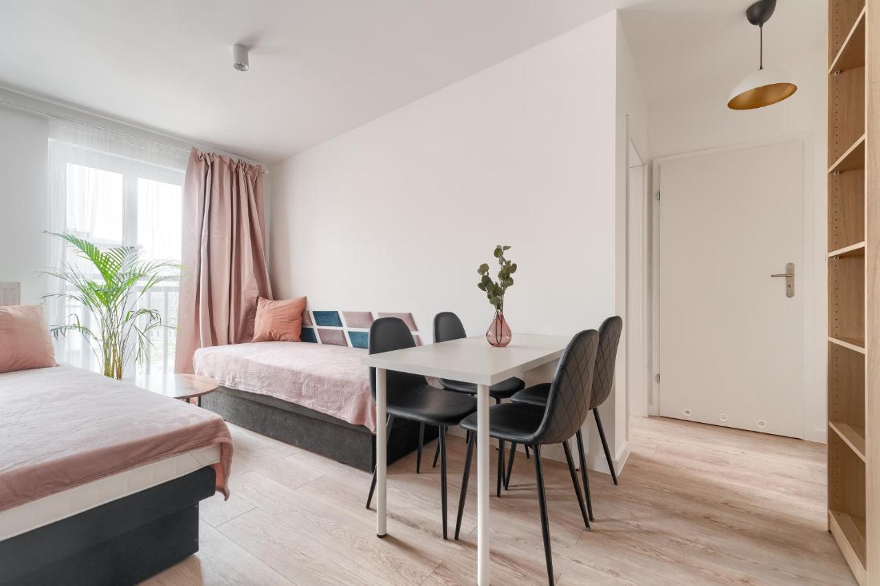 Kamienica Centrum Apartament 16 シュチェチン エクステリア 写真