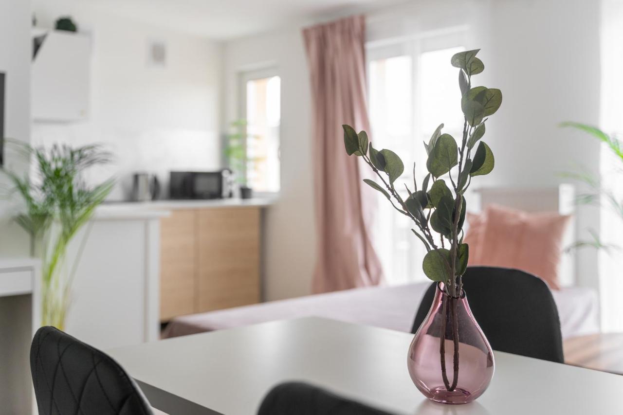 Kamienica Centrum Apartament 16 シュチェチン エクステリア 写真